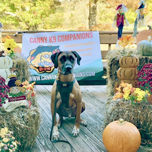 Catawba Valley Obedience Club, Hickory NC